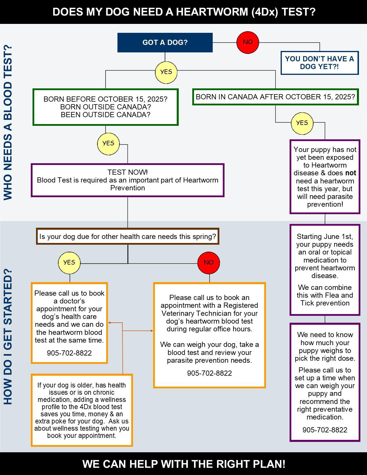 Decision chart: which dogs need a heartworm 4Dx blood test and how to book one