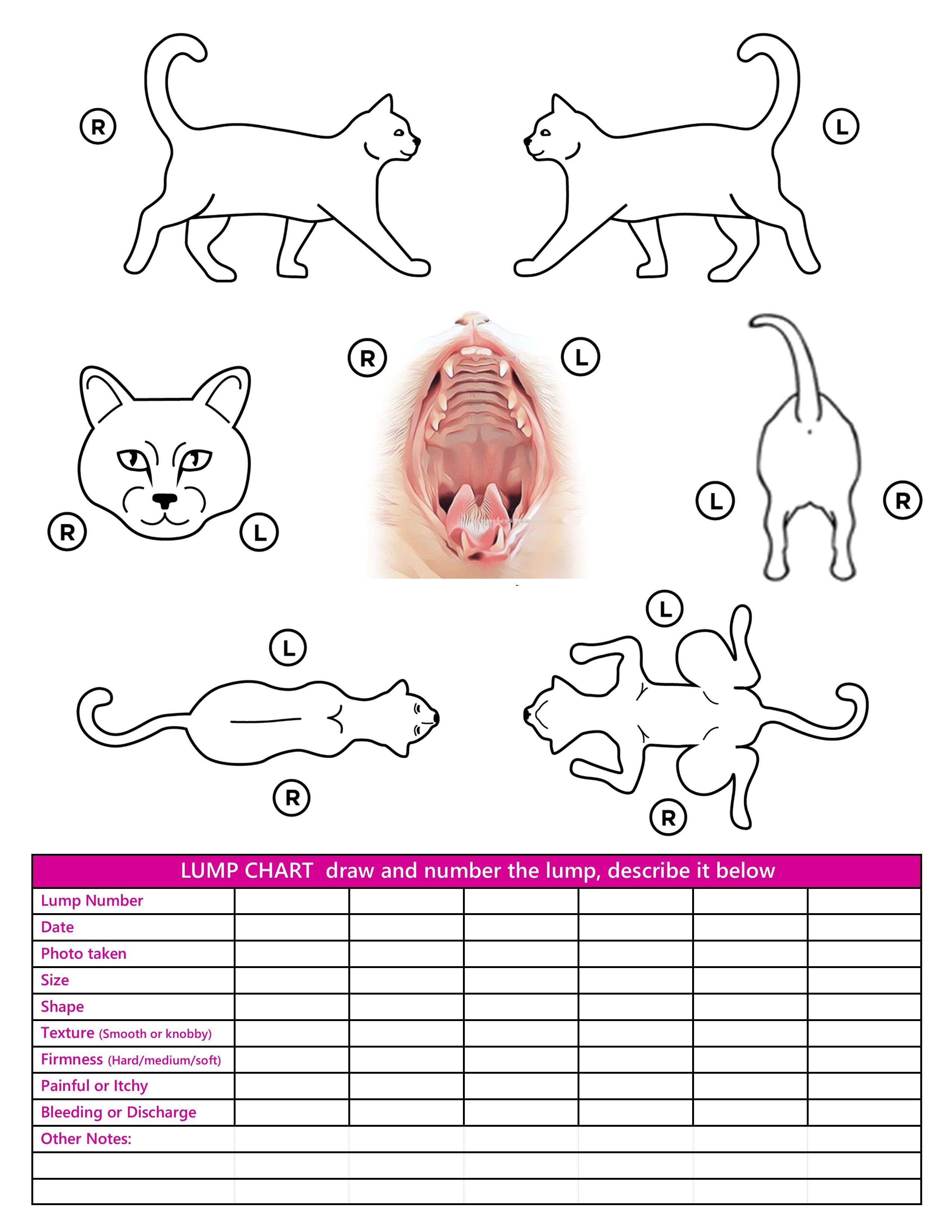 Lump tracking chart for cats — body map with record table